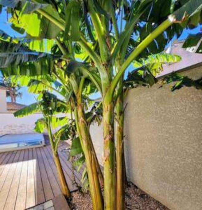 Villa Jolie Maison Jardin Piscine